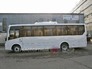 Вид 3: ПАЗ 320455-04 Vector NEXT, туристический